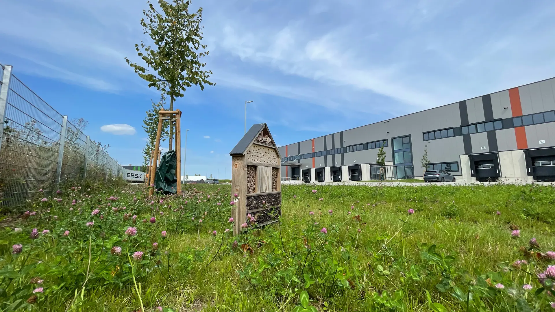 Wildblumenwiesen und Insektenhäuser.jpg